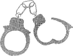 Steuerfahndung
